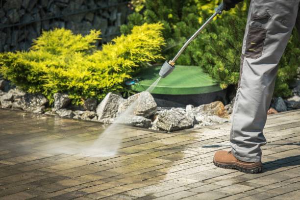 Best Driveway Pressure Washing  in Frederick, MD